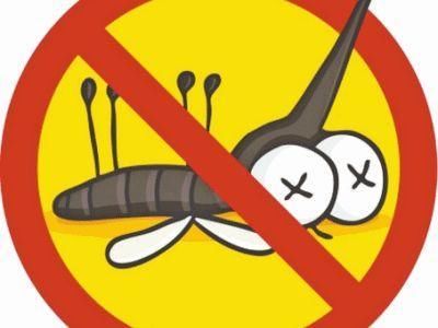 艾草|你真的会用艾草吗?艾草的4种妙用,能缓解痛经、补中益气