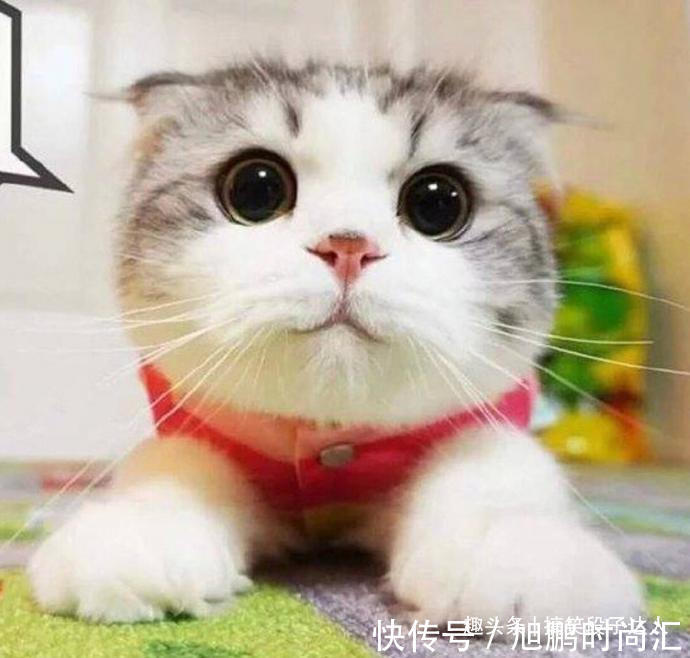 |幽默笑话:丈母娘从国家电网退休之后,去大润发当保洁员