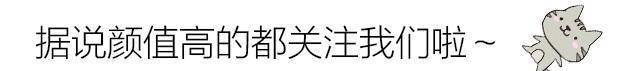 动漫|为你详细解读海贼王中5句经典台词！谁还敢说看动漫是不务正业！