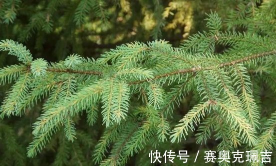 大揭秘|氨基酸洗面奶大揭秘!不要再被骗了,真正的氨基酸洗面奶是它们?