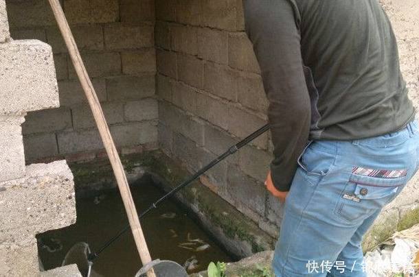 面粉|8种令鲫鱼痴迷的饵料配方，取材方便效果绝佳