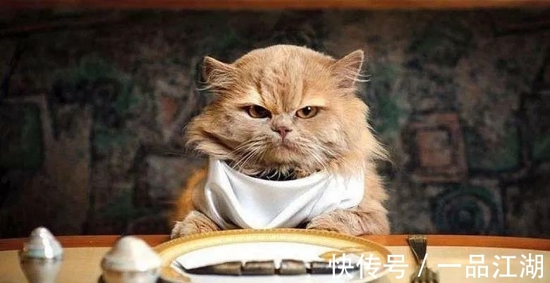 24个冷知识：生物老师看完直呼不可思议，但却真实存在的有趣知识