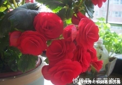 农历|谁家老婆出生在这三月,婚后引财无数,助益丈夫事业,福泽全家