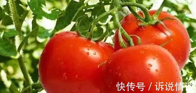 食物|人到中年要长寿,可以多吃四种食物,健胃健脾,排毒清肠