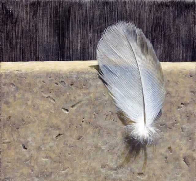 冷军|他画了根羽毛参加比赛,评委说他造假,放大十倍后,全都安静了