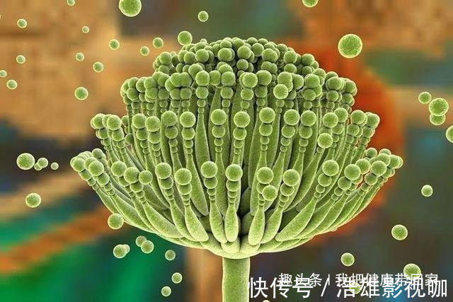 家里4个地方，是“黄曲霉毒素”最喜欢的，一会记得去清理