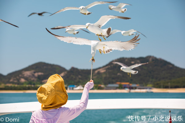 清凉夏日，拥抱星辰大海，西霞口的三天两夜之旅