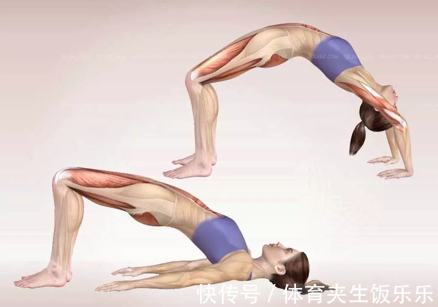 鞋带式|“身体越硬人越老”?!你需要瑜伽拉伸一下……