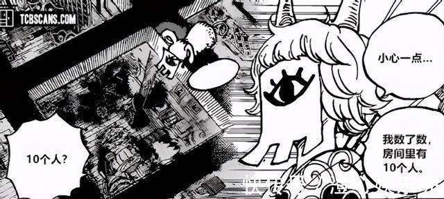 艾尼路|海贼王1004出现神秘人，剪影类似艾尼路！网友：可能是时夫人