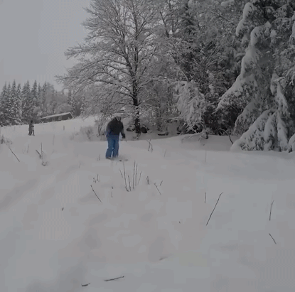 |搞笑GIF:这是谁家的闺女