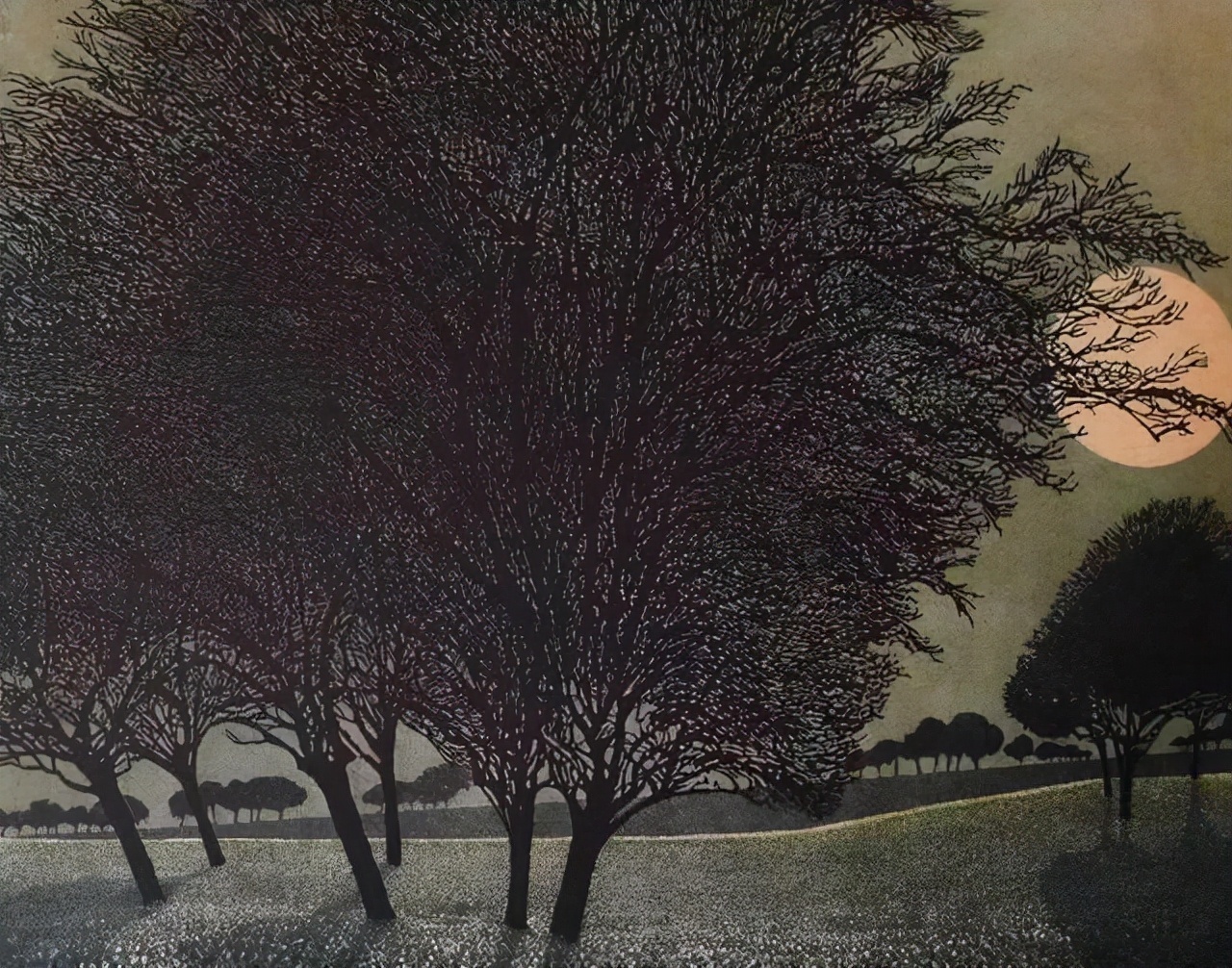 插画师&英国插画师Phil Greenwood的插画,给家里带来一丝文艺田园气息