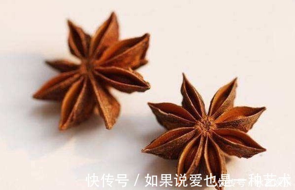 入味|不管卤什么肉,记得加入4种香料,卤出的肉又香又入味