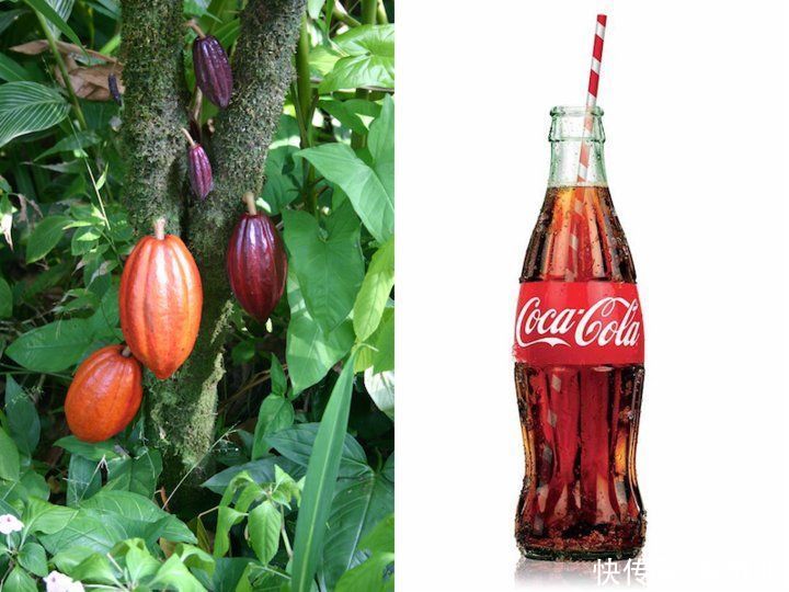  不好|百事可乐的新瓶子，变弯了，直的不好吗？