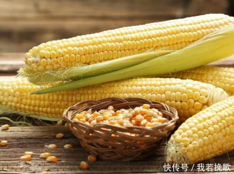  食物|无论男女，40岁后想要长寿，常吃以下5种食物，可健健康康每一天