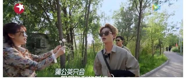 杨超越|极限挑战宝藏行真团宠:杨超越出场方式成焦点,虞书欣全程被忽视