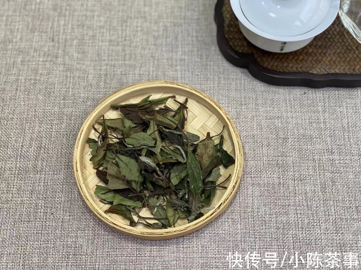 老白茶@白茶、岩茶、红茶怎么冲泡?一篇文章解锁正确冲泡方法,建议收藏