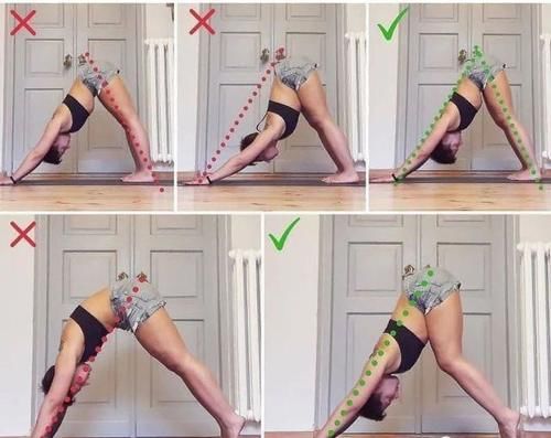 初学者|初学者练瑜伽，练对很重要，这些体式最容易做错！