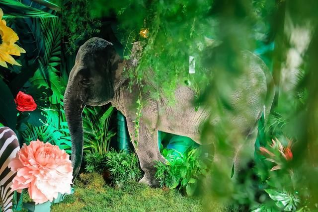 来自|如果不是亲眼所见，真不相信这些照片来自于vivo S7