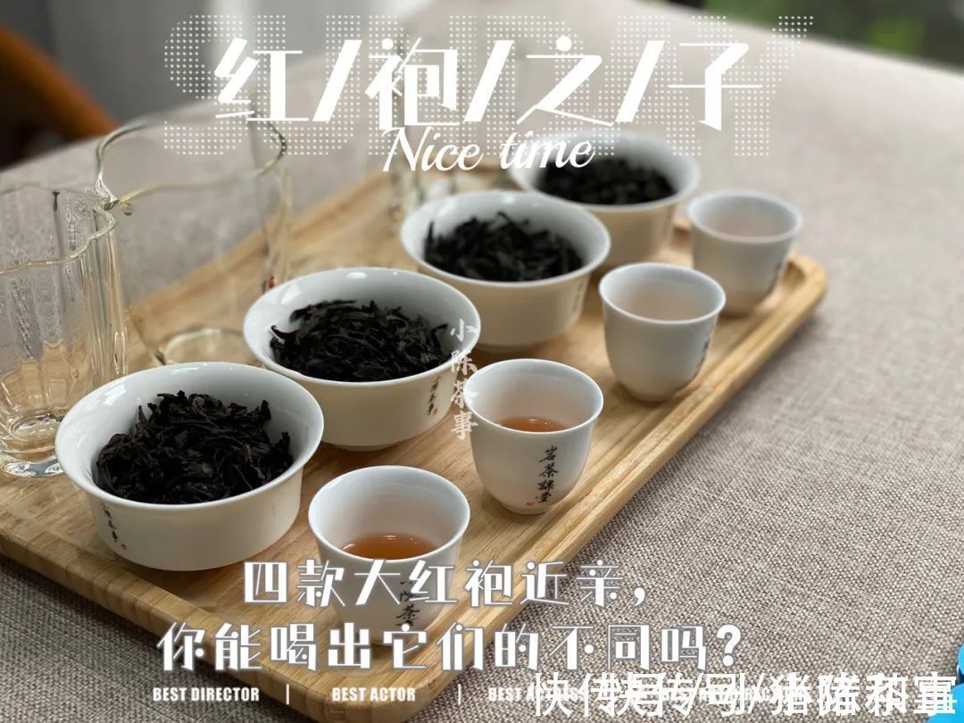 李麻花$四则茶圈秘辛，讲述大红袍后代们的跌宕故事，走进岩茶的历史变迁