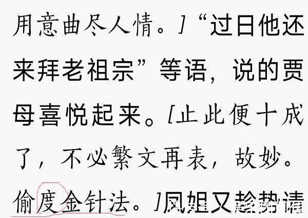 贾母$红楼梦中有偷度金针法，什么是偷度金针？哪一段是偷度金针？