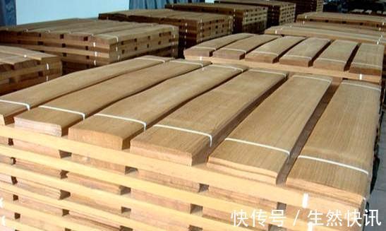 绿植|家居污染怎么检测4个小办法,简单易上手早发现早解决