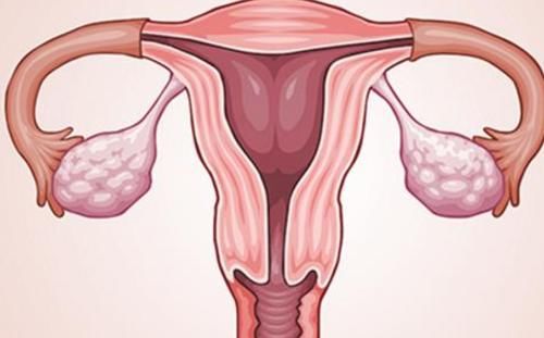 西瓜|子宫“不喜欢”的6种水果，秋季要尽量少吃，或让子宫更温暖