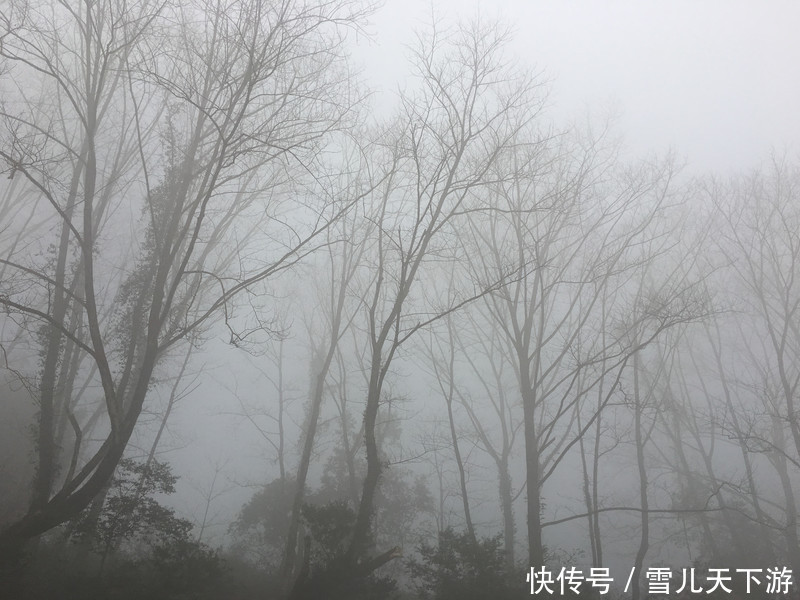 适合全家出游的地方，爬山的难度系数不高，风景宜人，空气清新舒适