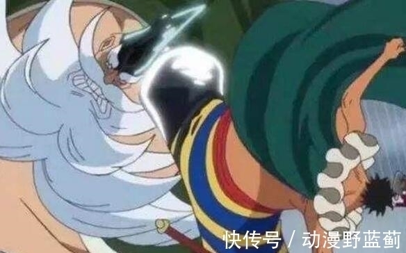 海楼石|海贼王 最硬的5条腿, 山治垫底, 第一与卡普铁拳齐平