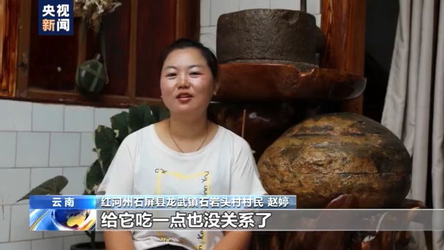 监测|卷起尘土“沐浴”、顺走汽车后视镜……快到家的象群又发生了哪些趣味瞬间