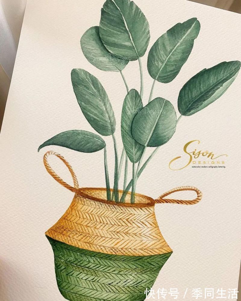 笔尖&美爆!70张超简单小清新的水彩手账,你想要的都在这里!收藏这篇就够了!