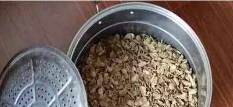  生活|3种没人要的“玩意”，捡一点养花，肥效好，还防冻！