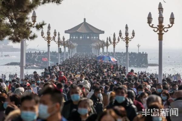 老年|网友手举馒头大半天，都没喂出去！海鸥：真吃不下了