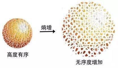 宇宙中真有禁止发生的事情吗?探讨宇宙“四禁律”