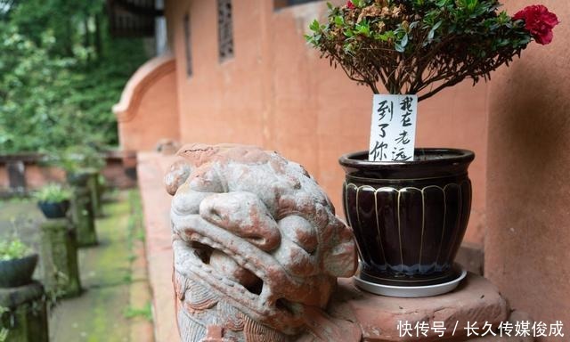 白水河|法王寺，泸州特别安静的寺庙，景色太棒了