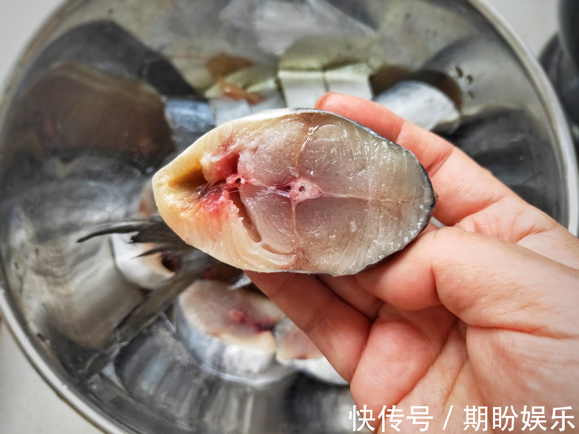 营养|这鱼便宜还没刺,遇到从不手软,一买就是七八斤,营养丰富味鲜美