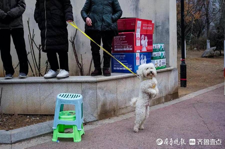 济南|虎啸春来｜元宵节济南南苑社区闹花灯