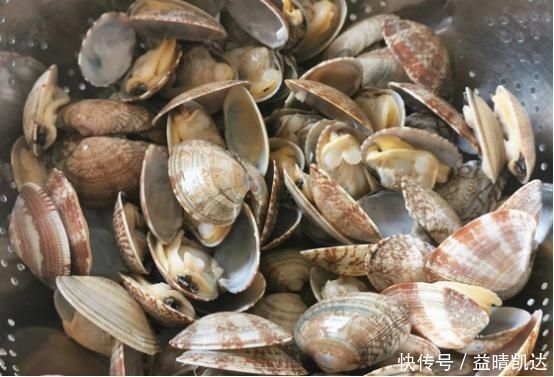 洗花蛤时,万不可加盐吐沙渔民牢记一个土方法,花蛤疯狂吐沙