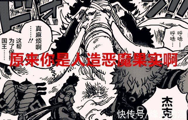 果实|海贼王1026话:杰克原来是人造果实能力者，路飞局部4档来了