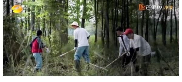 两人|《向往的生活》张子枫对梁靖康说的第一句话，尽显两人关系，难怪黄磊想要打他