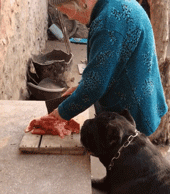 |搞笑GIF段子:美女,开拖拉机这都不是事,档位一挂手刹一松麻利麻利的走