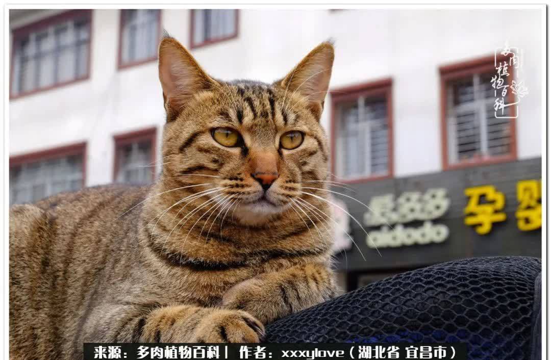 时光匆匆,一闪而逝,这世间万物的美,都值得被记录!