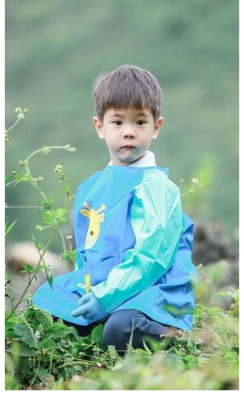 陈小春|这些明星的孩子你羡慕吗?有钱颜高,双商在线,星二代你Pick谁?