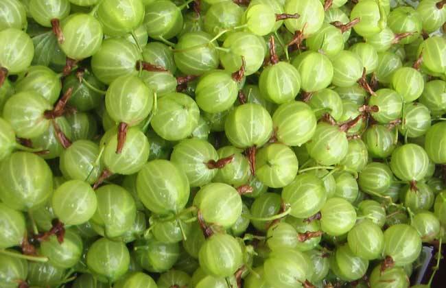 人到中年|人到中年想长寿,不妨坚持吃3种食物,排毒养颜、补益身体!