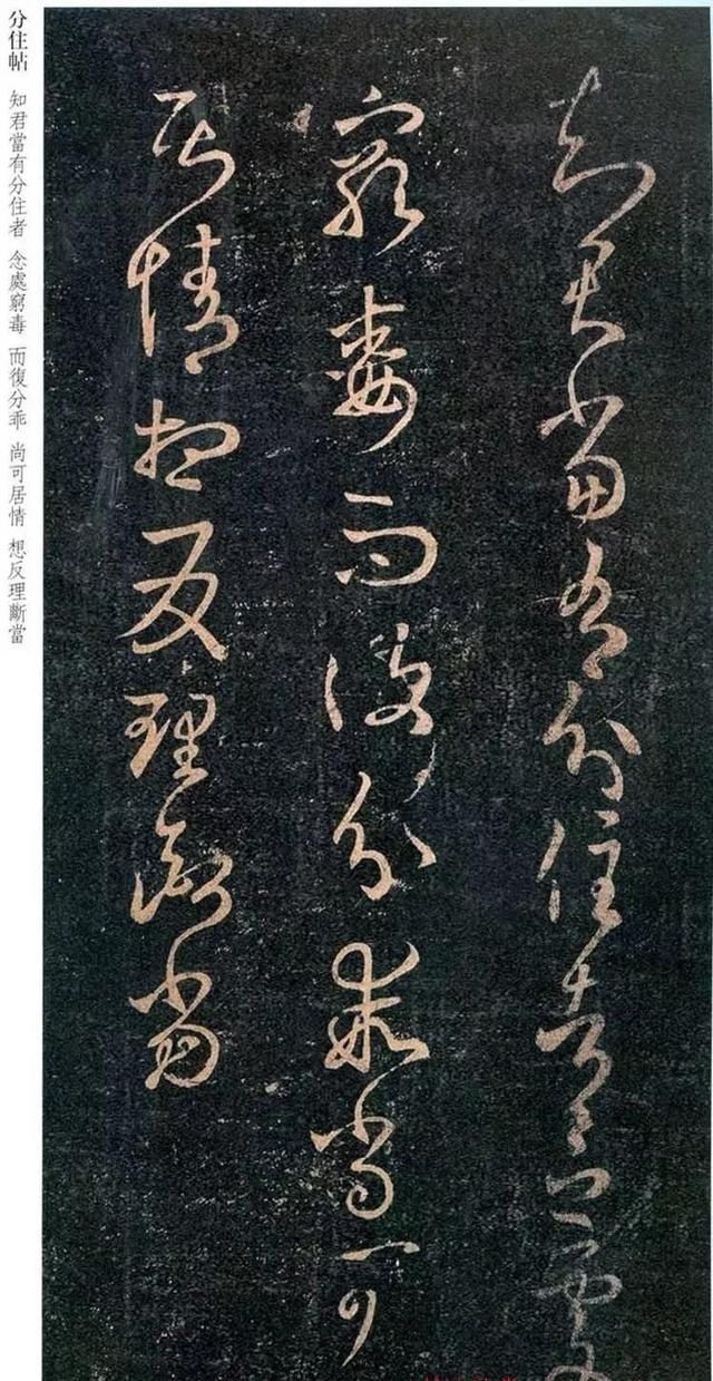 王羲之|王羲之草书《知君帖》《谢光禄帖》《重熙帖》《定听帖》