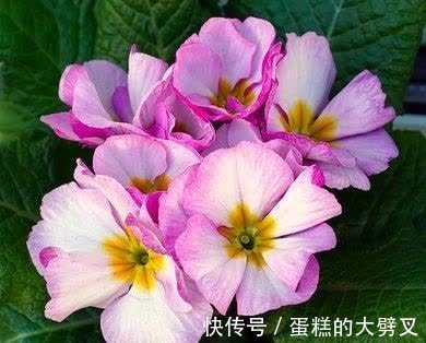 余生|下半年,红尘滚滚,尽余生慷慨,奋力一搏,牵手良人,今生不变