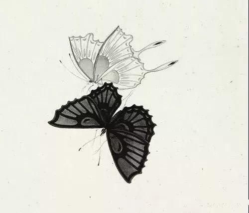 俞致贞|收藏!国画蝴蝶纸上来感觉蝴蝶在动,太逼真了!