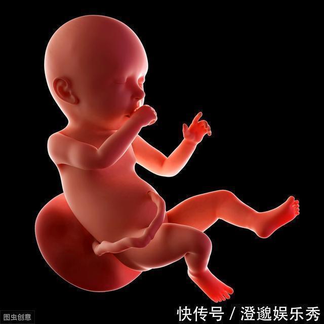 母体|宝宝真的有“宫内记忆”吗?妈妈说:3岁女儿的话,让我不可思议