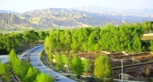  梦想还没|一家4口全部患癌, 决定结束生命！一个转念，奇迹发生了...