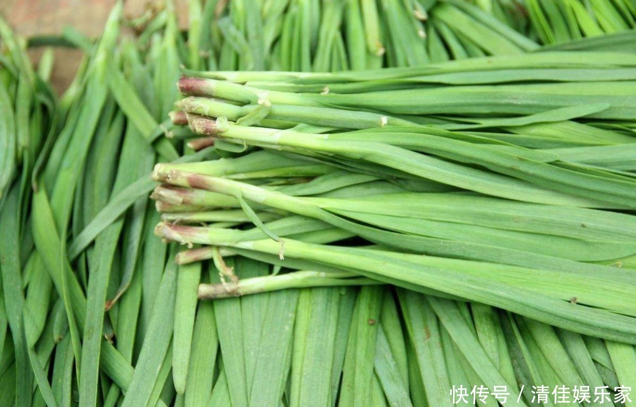 面团|韭菜5种最好吃的做法，每种都简单美味，看看你喜欢吃哪种