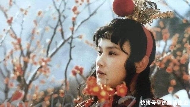 贾宝玉向妙玉乞梅，却称“费了好大的劲”，他在栊翠庵经历了什么